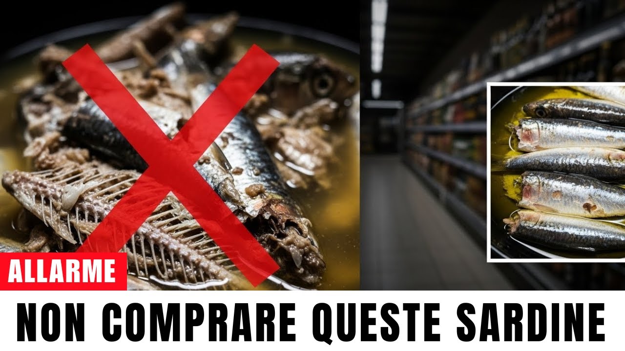 8 sardine in scatola che dovresti ASSOLUTAMENTE evitare