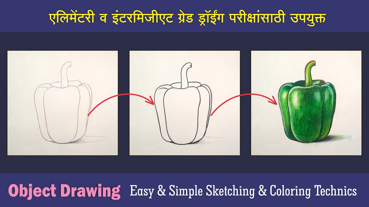 How to draw a Capsicum with oil pastel step by step, bell pepper step by step, easy draw capsicum