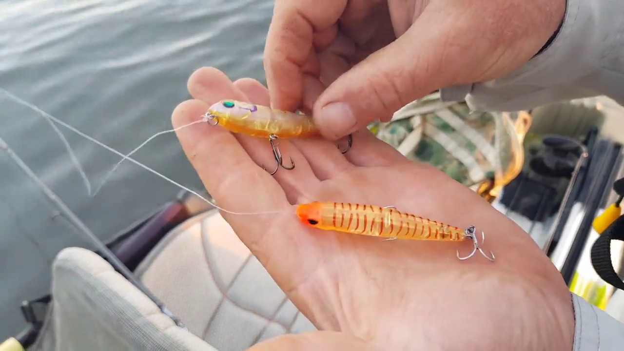 Surface Fishing The Flats