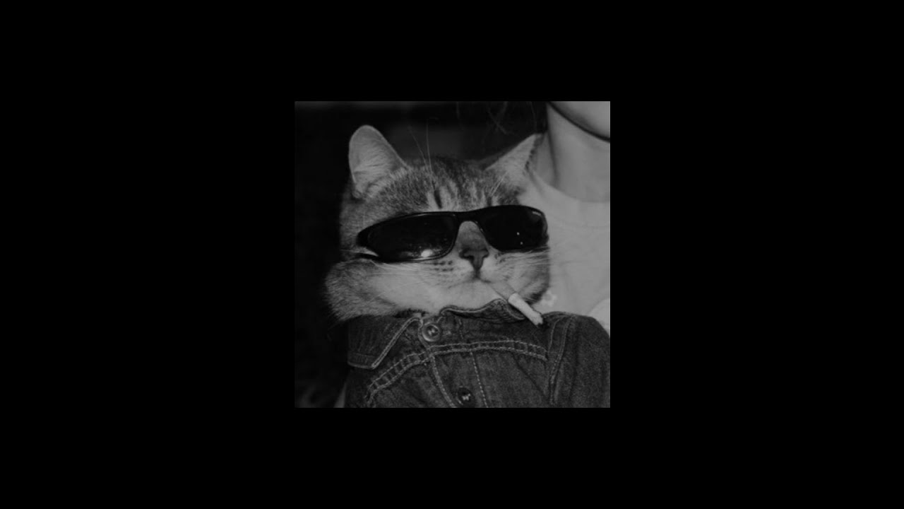 𝙉𝙖𝙨 𝙙𝙖𝙮𝙧𝙖 𝙩𝙖𝙬𝙞𝙡 [𝙎𝙇𝙊𝙒𝙀𝘿+𝙍𝙀𝙑𝙀𝙍𝘽]