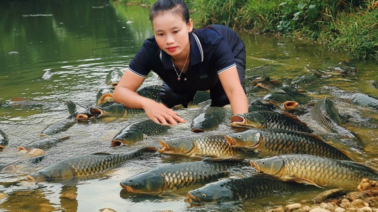 Meeting a Giant School of Fish on a Rainy Day | Catching & Trapping Fish Skills