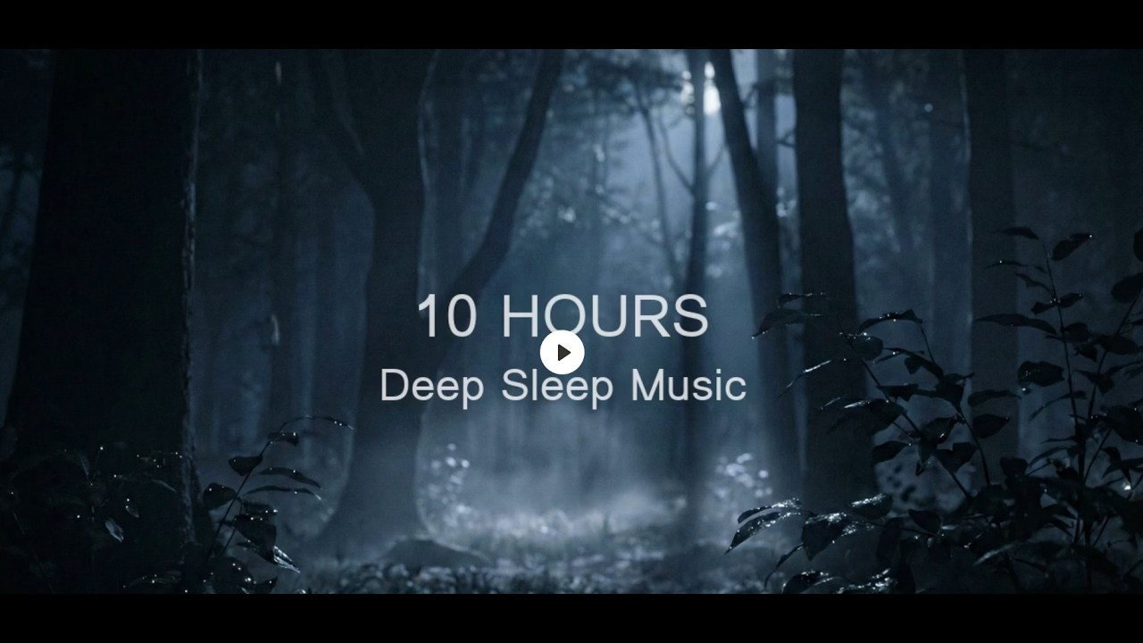 10 Hours Deep Sleep Music - Misty Forest Rain Ambient for Insomnia & Relaxation