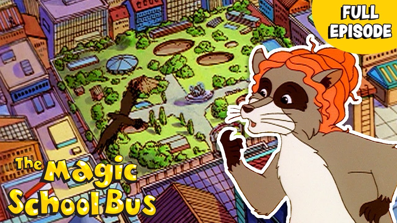In the City | City Animals | Habitats | Full Episode | The Magic School Bus