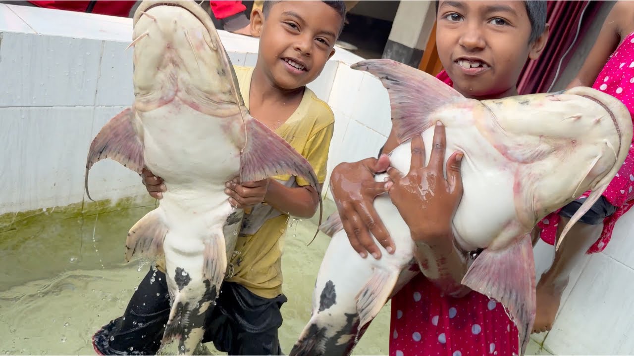 MEGA Aquarium: Giant Fish Catching with Fun by Kids 