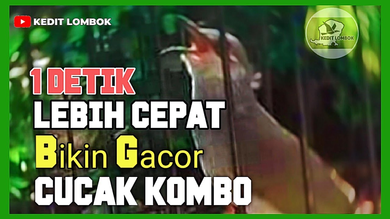 1 DETIK NYAUT PLONG❗KECIAL KOMBO GACOR UNTUK MASTERAN @keditlombok8620