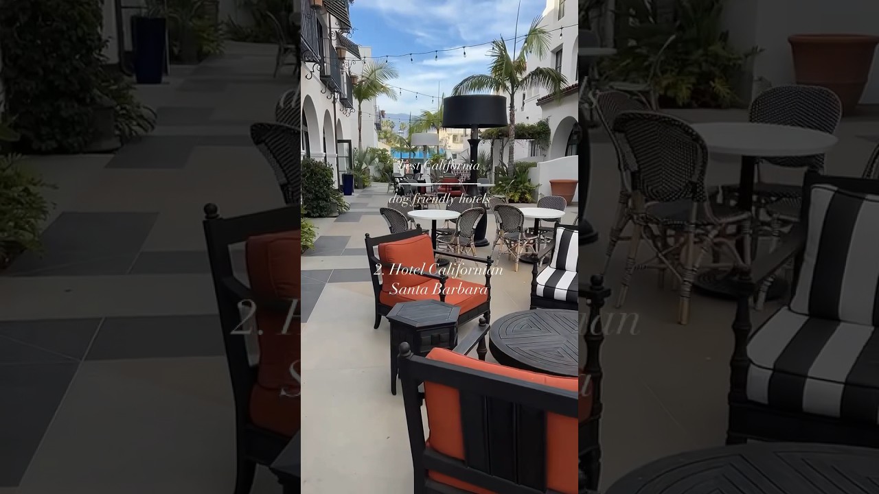 Best Dog Friendly California Hotels #petfriendly #dogtravel #besthotels #california #travelshorts