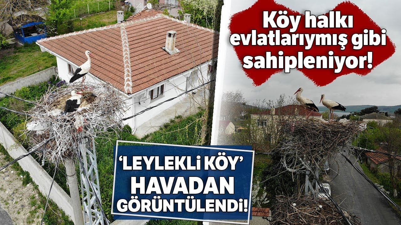 Sazlıbosna Köyünün Misafir Leylekleri Havadan Görüntülendi