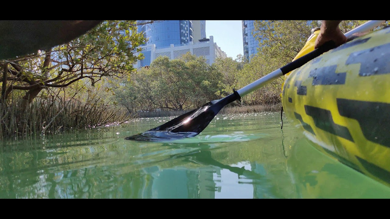 Mangroves | Kayaking | Reem Island | Abu Dhabi