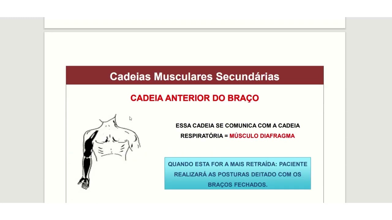 cadeias musculares