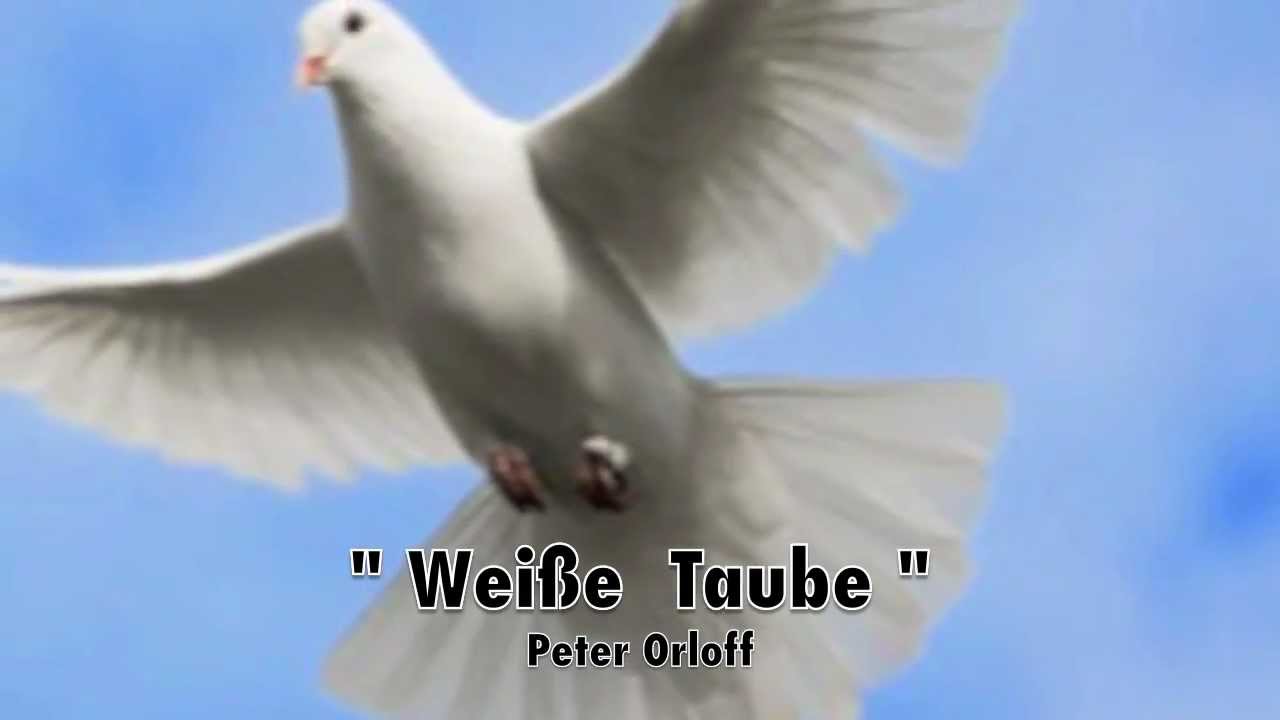 Weisse Taube - Peter Orloff