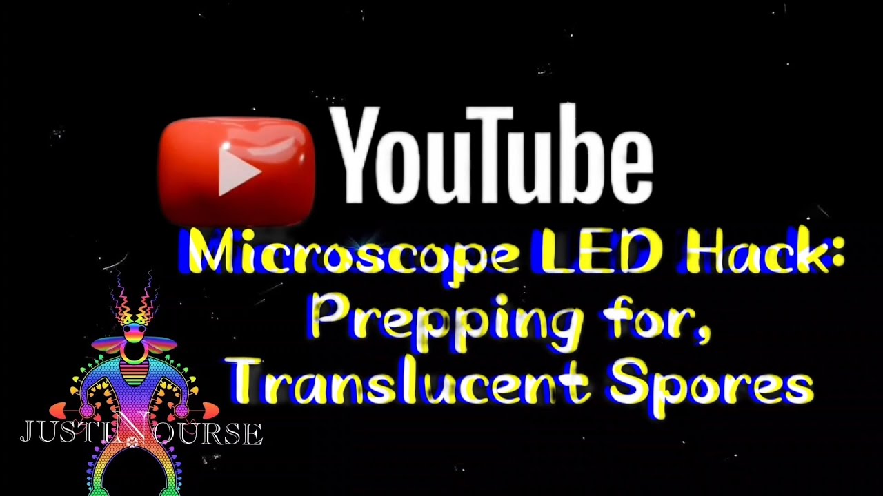 Microscope LED Repair Hack🔧💡: Prepping for Translucent Spores Study