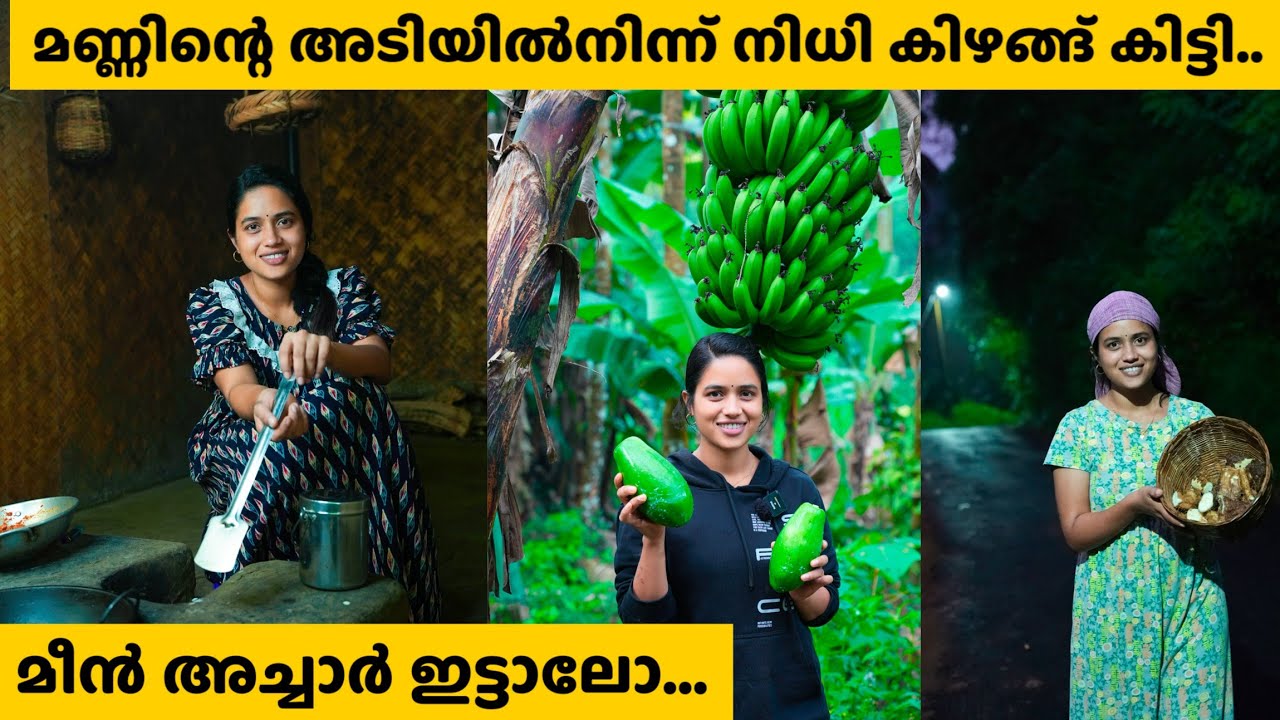 മണ്ണിന്റെ അടിയിൽനിന്നും നിധി കിഴങ്ങ് കിട്ടി.. @saranyasbeautyvlogs 