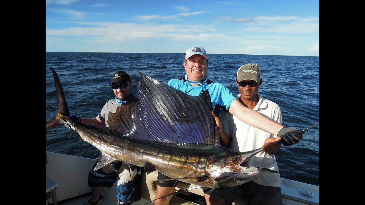hearty rise à madagascar 2016 pêche de requins , carangues et espadon . pêche en mer