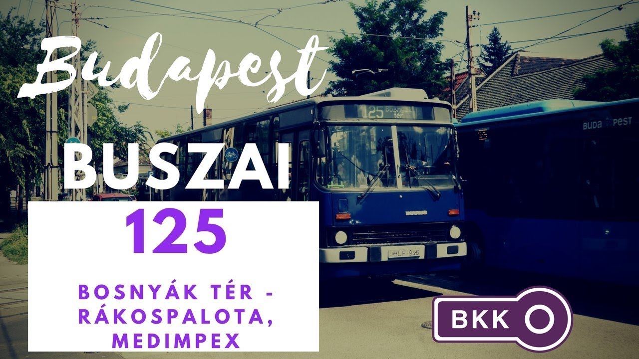Budapest, 125.-ös busz (Bosnyák tér-Rákospalota,MEDIMPEX) bus line 125.