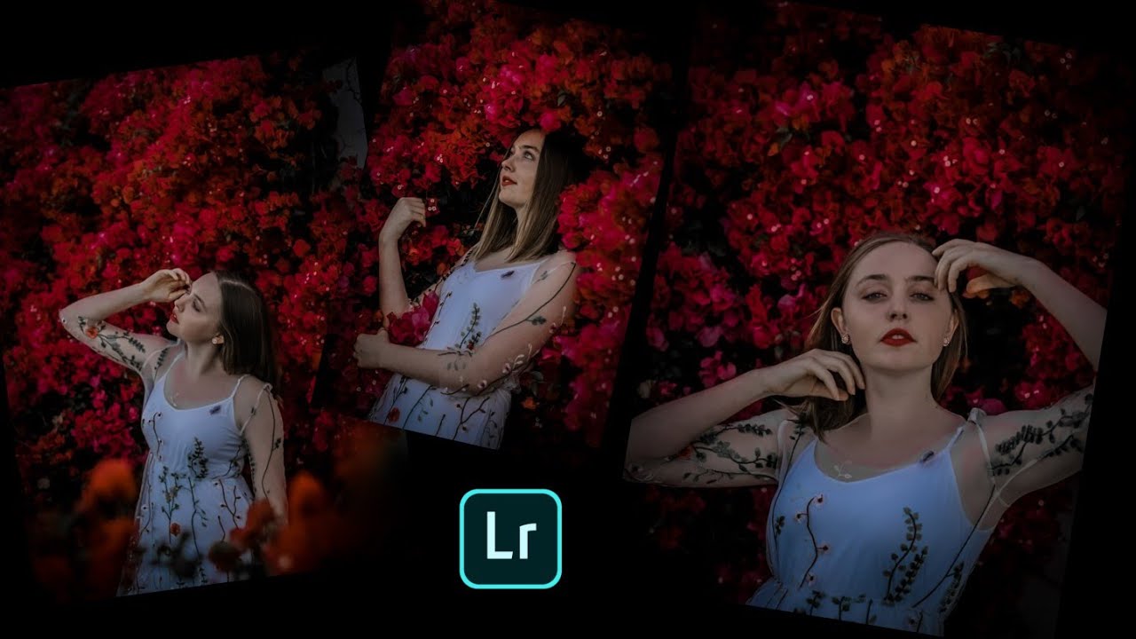 rose filter photo editing in Lightroom.....insta tranding 🔥🔥