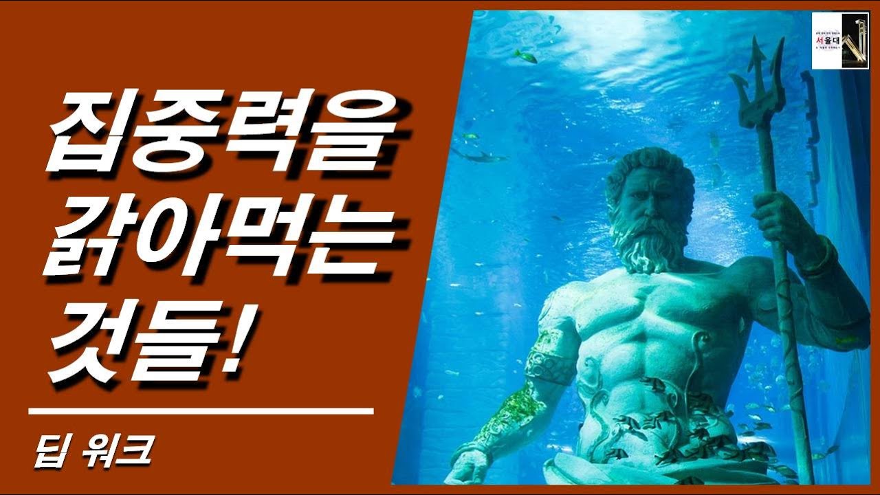 몰입과 집중을 방해하는 세상을 조심하라공부자극 ASMR 딥 워크 4)[서울대는 어떻게 공부하는가 E340]