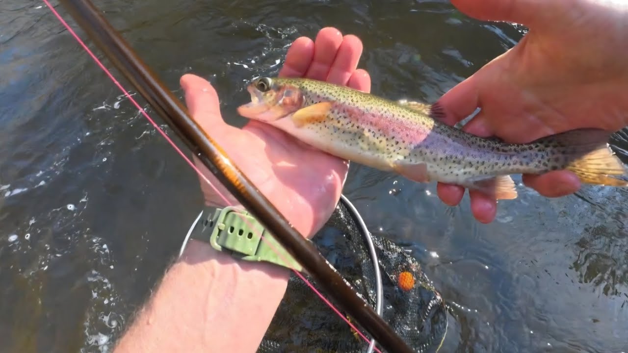 Tellico 2/11/2026 - re-uploaded 