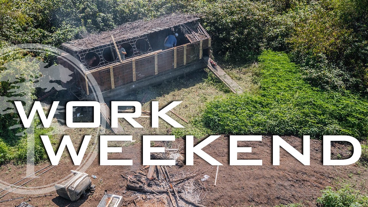 Утиная охота — рабочие выходные (новые жалюзи DUCK!)