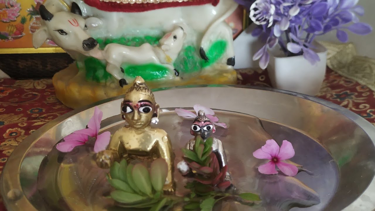 लड्डू गोपाल जी की सेवा कैसे करें । Laddu gopal routine !  Laddu gopal morning video @sakshirani8207 