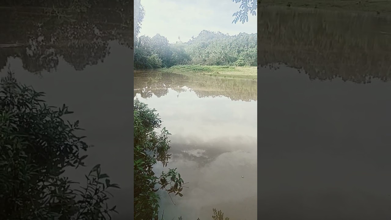 FLOOD FROM WATER FALLS #flood #flooding