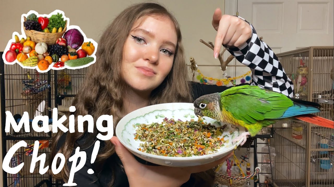 ПРИГОТОВЬТЕ СО МНОЙ ОТБИВНУЮ ДЛЯ ПОПУГАЯ! | как приготовить корм для птиц