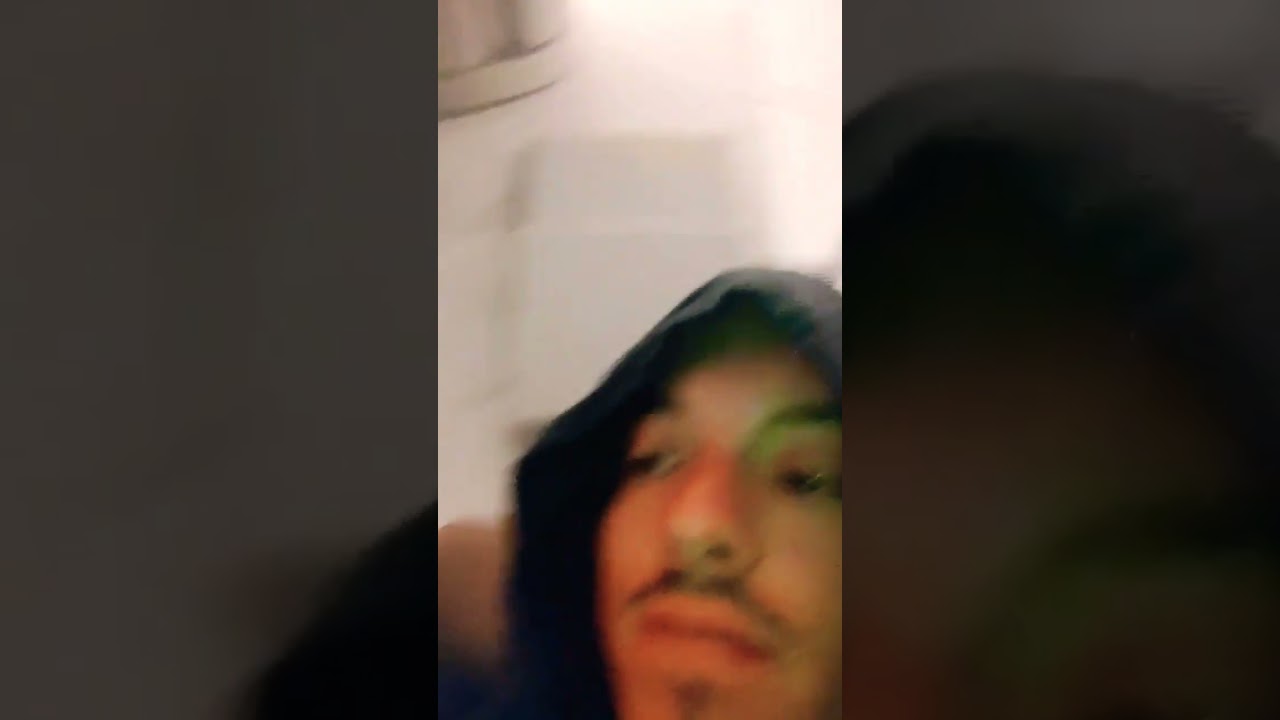 Quand tu libères ton chat Dan's l'avion ✈️😹
