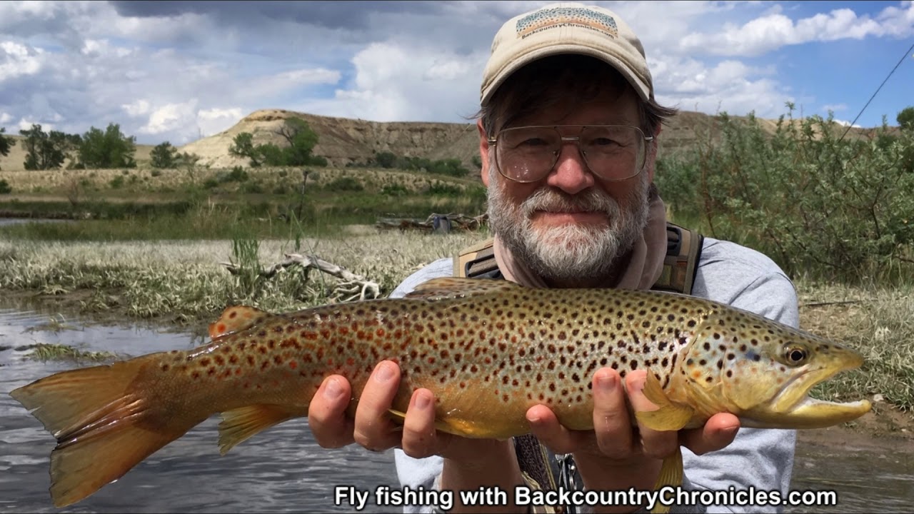 Two Big Utah Brown Trout Caught and Released in Secret Stream