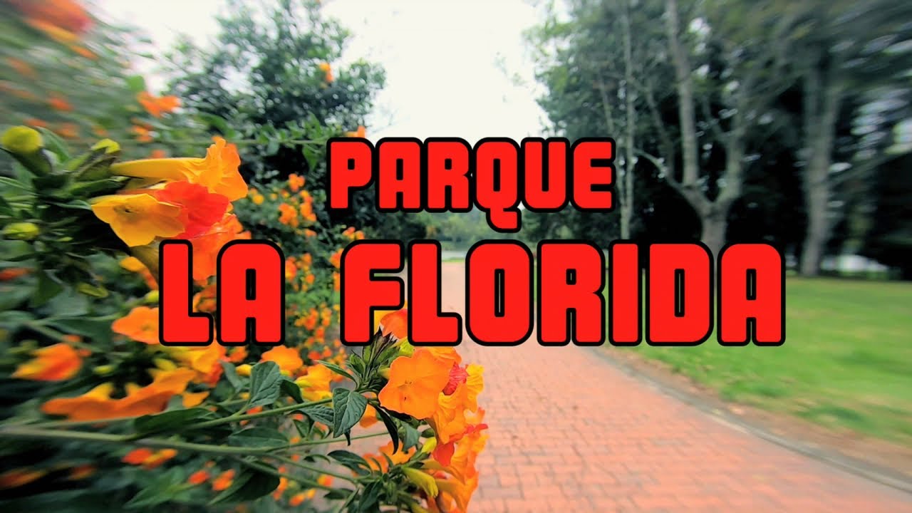 Discos El Dorado - El Corrosco - Cuerdas Colombianas - Imagenes Parque La Florida