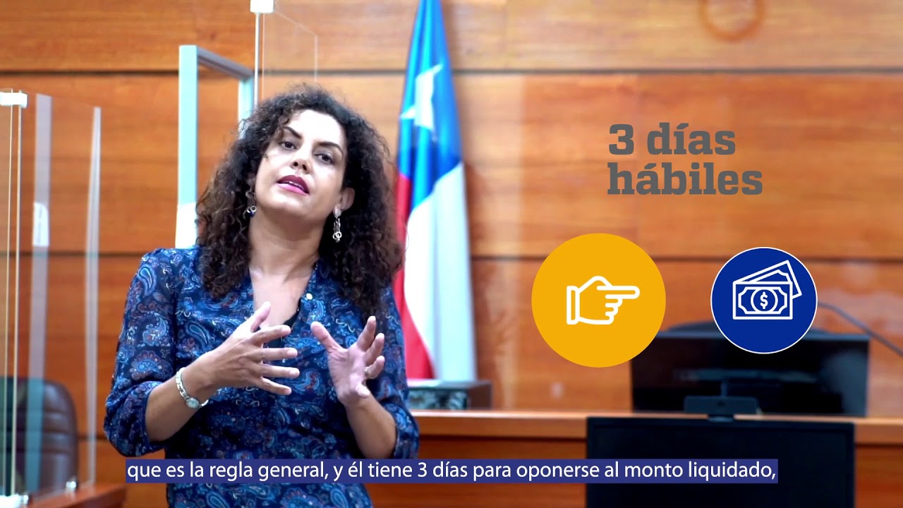 &iquest;En qu&eacute; consiste el proceso de liquidaci&oacute;n por deuda de alimentos en un juzgado de Familia?