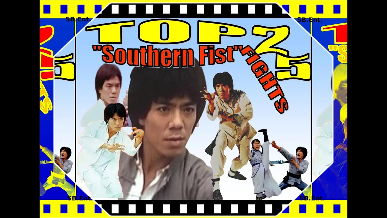 Top 25 Fights of Wang Tao🤛👊 (Southern Fist!)
