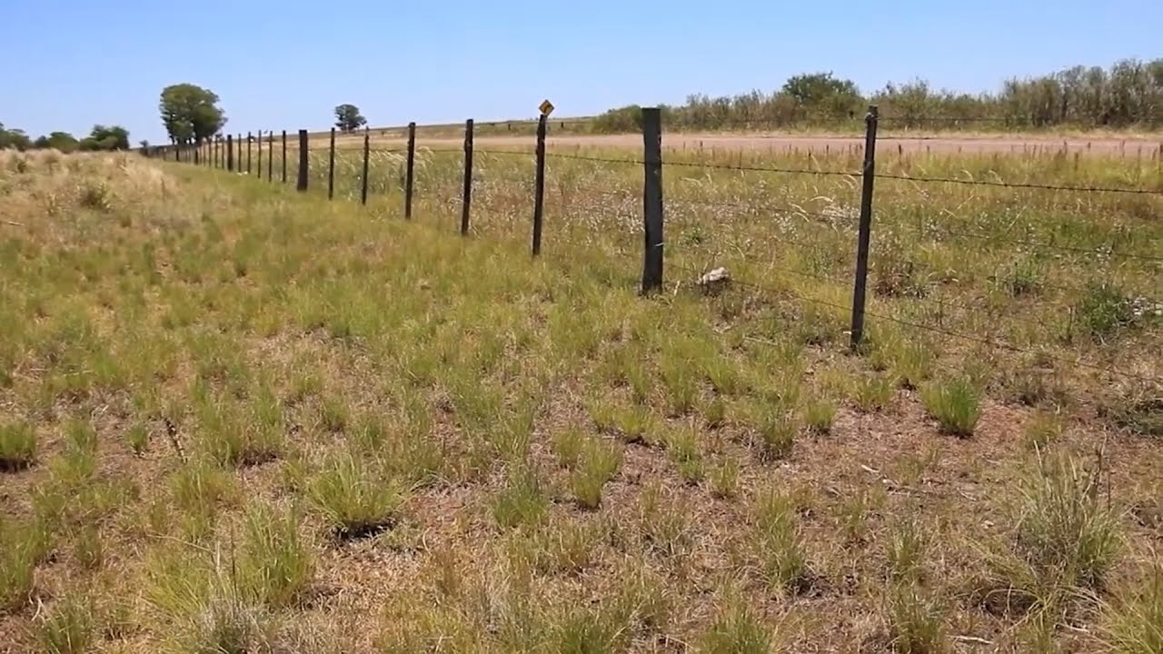 Mano a mano con el plan agropecuario | 24 de abril