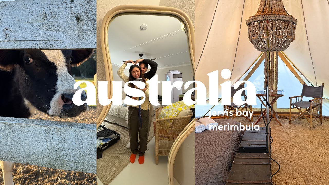 some time in jervis bay glamping, animal feeding, whale watching and 1 night in merimbula