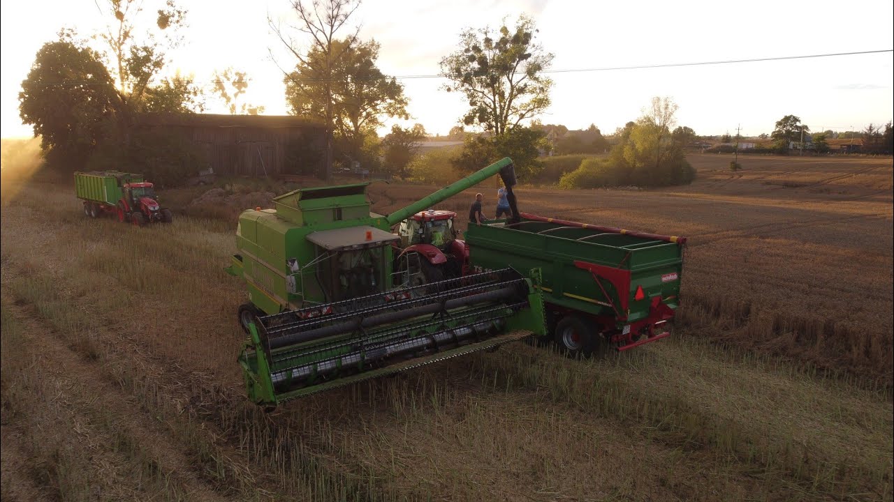 Żniwa 2023 z Nowym nabytkiem 🌾 Deutz-Fahr Topliner 4090 HTS. Metaltech TS 16 | Case IH Puma 🚜 170cvx