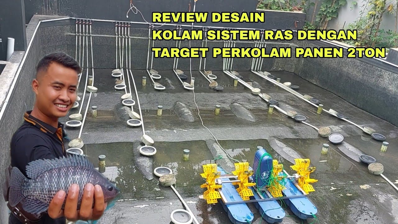 REVIEW DESAIN KOLAM SISTEM RAS DENGAN TARGET PERKOLAM BISA PANEN 2TON