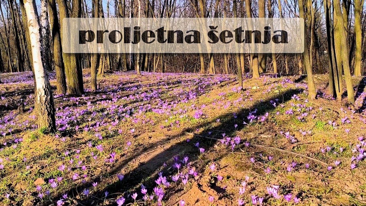 Proljetna šetnja magičnom šumom, park Ravne