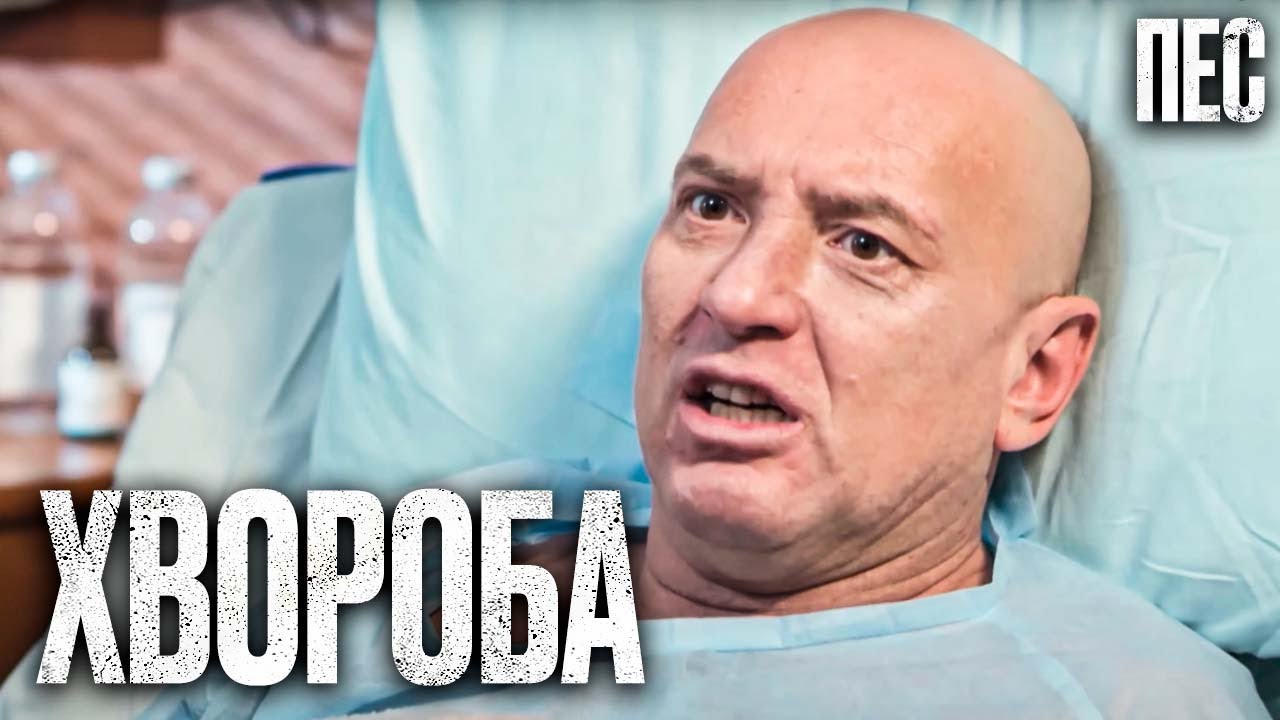 🎬 НАПАД НА ГНІЗДІЛОВА?! - Цікавий ДЕТЕКТИВ 2023 - Серіал ПЕС 2023 - Найкращі серії