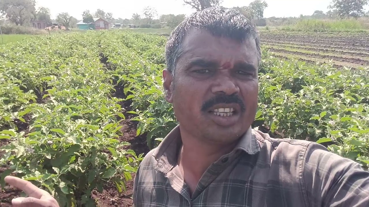 २५ फेब्रुवारी, २०२६