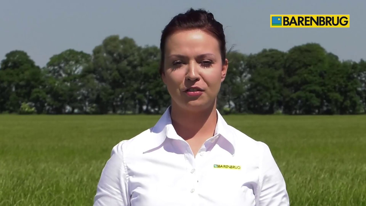 Barenbrug B&G 1 Milkway Sprint- mieszanka nasion traw na grunty orne, użytki kr&oacute;tkotrwałe.