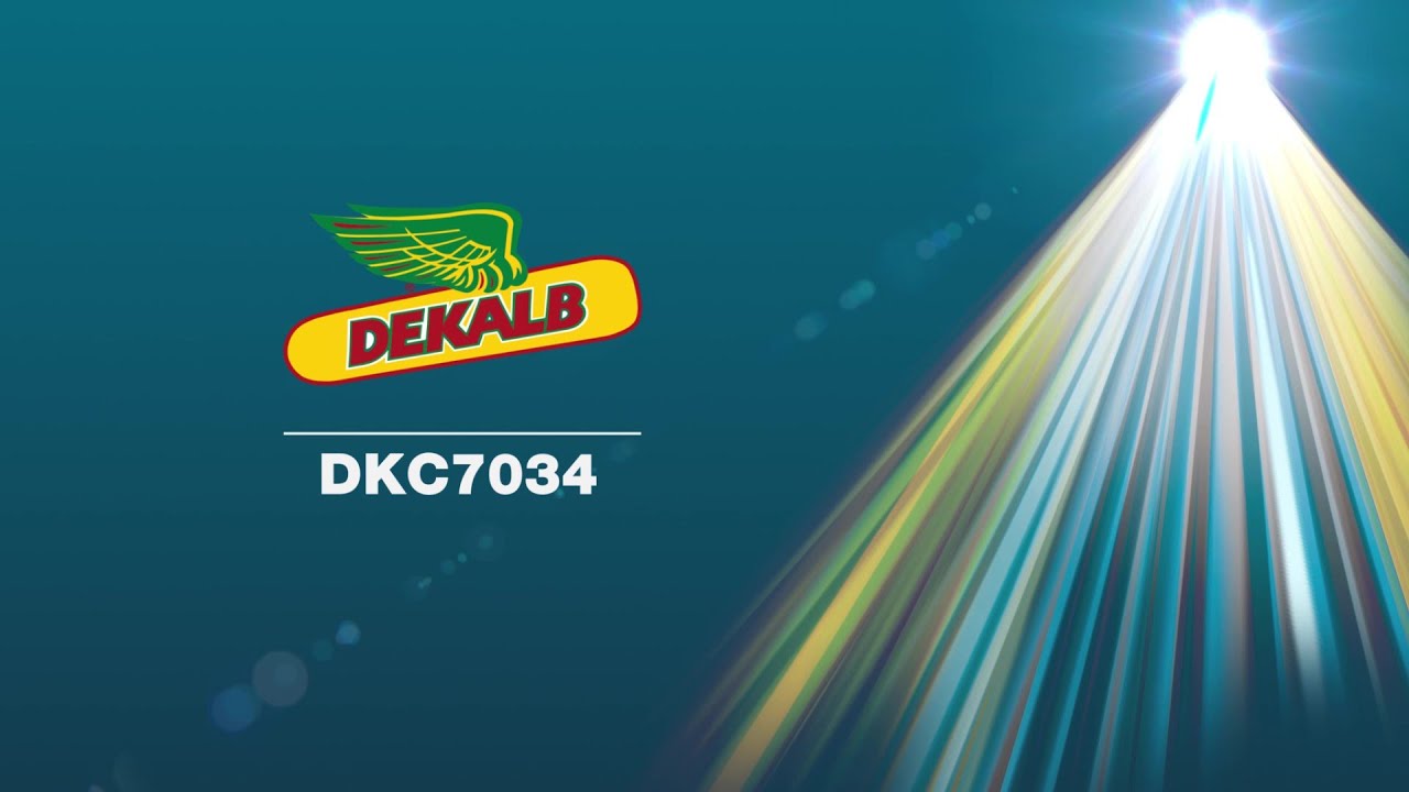 DKC7034 - L'innovazione del Trinciato
