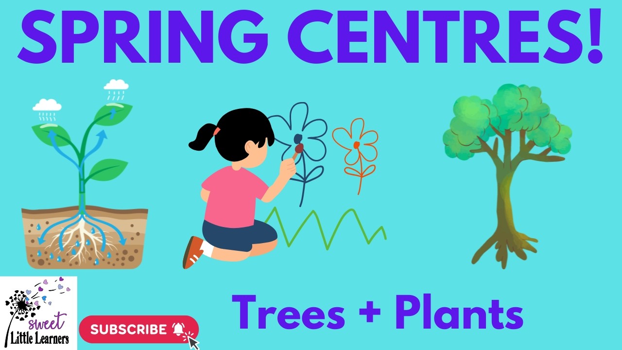 Deciduous Trees & Plants | Kindergarten Centres (Art + Plant Labels + 4 Seasons Tree)