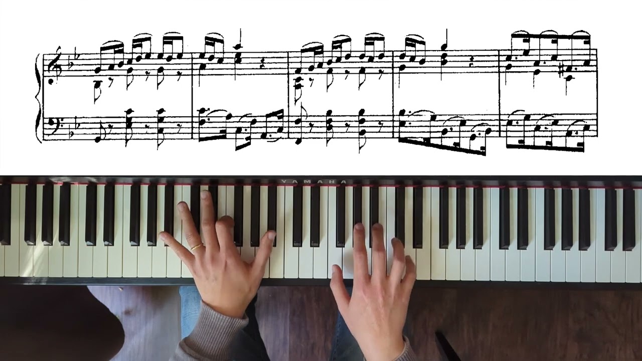 St Matthew Passion: 51-52. Erbarm es, Gott - Können Tränen meiner Wangen (piano transcription)