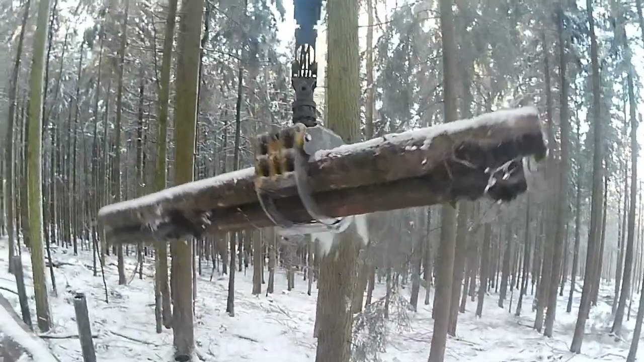 Ponsse Buffalo Part 12