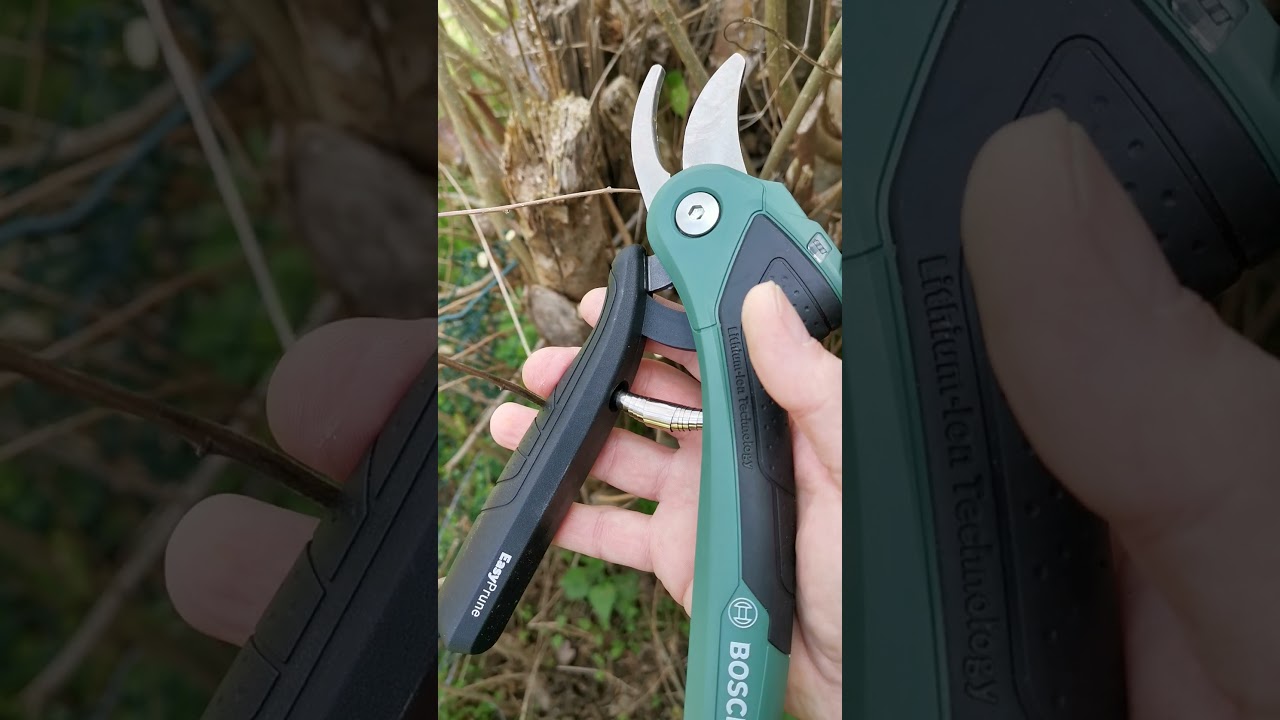 Bosch Easy Prune Produkttest Teil 1