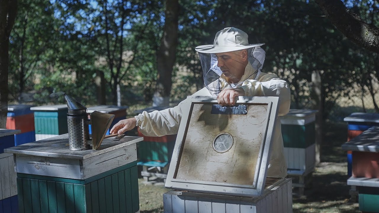 Jak zostać pszczelarzem? Odcinek 3. Prace hodowlane w ciągu roku. Dr Dariusz Karwan