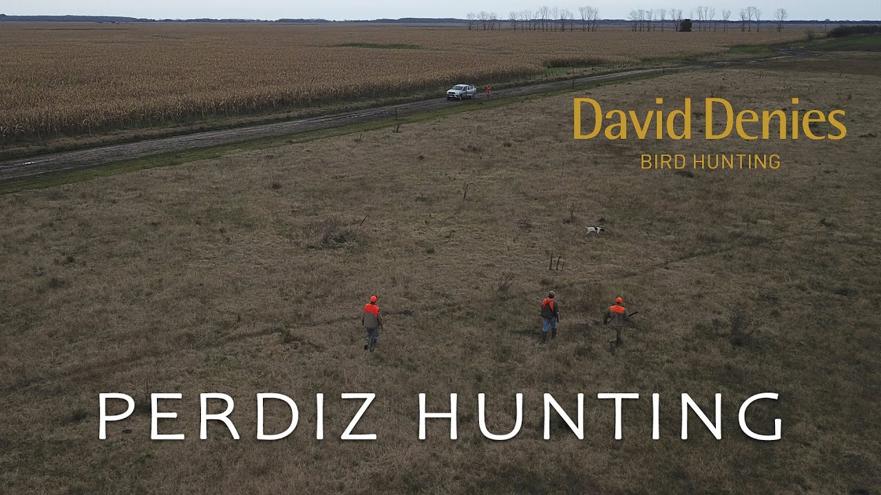 Perdiz Hunting in Argentina. David Denies lodge Los Crestones