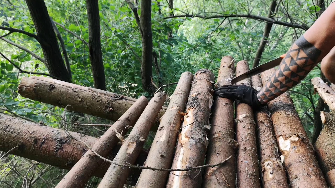 Posed na strome (časť 2) prvá noc