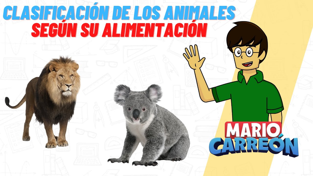Clasificación de los Animales Según su Alimentación