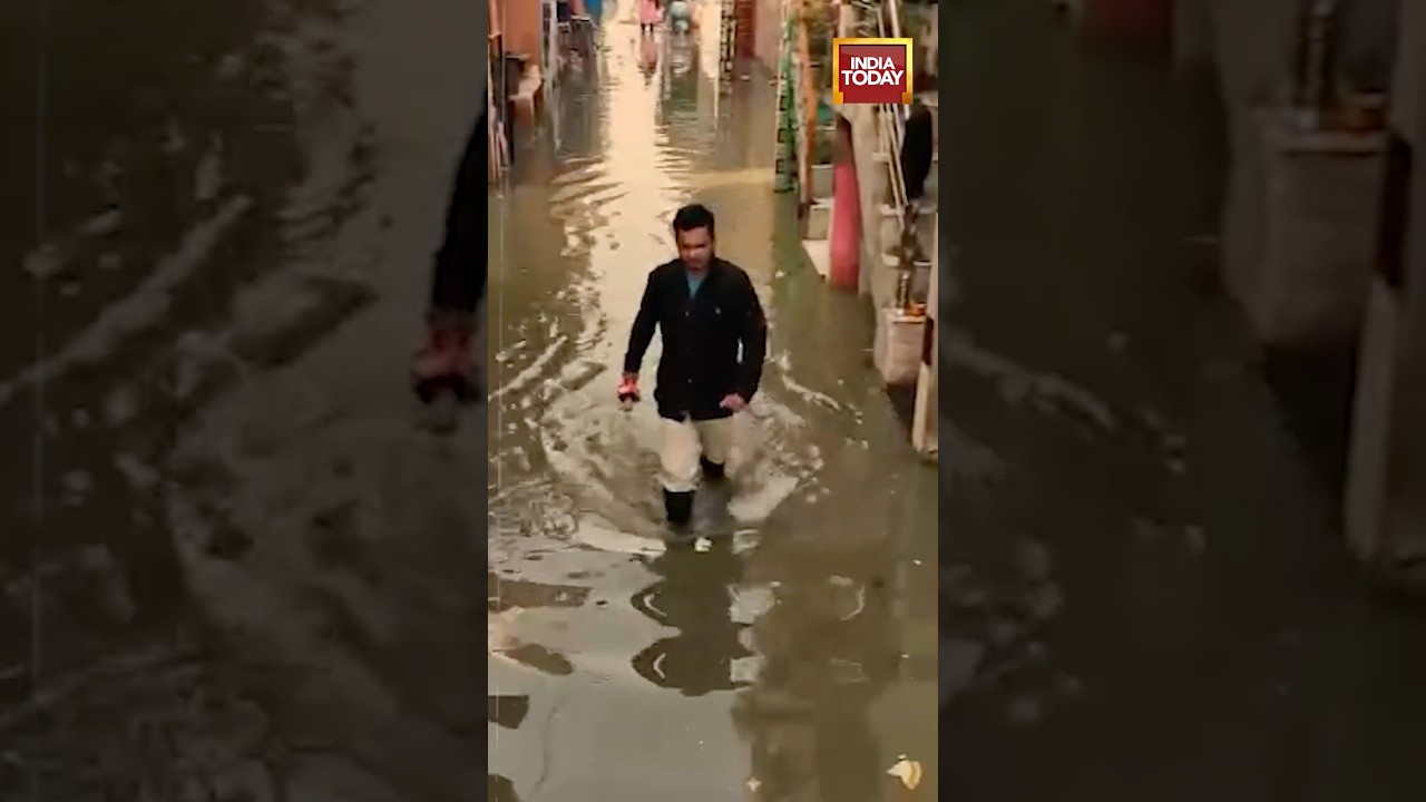 Delhi's Kirari Sharma Colony News | Garbage, & Neglect: Inside Delhi's Waterlogged Hell #kirari