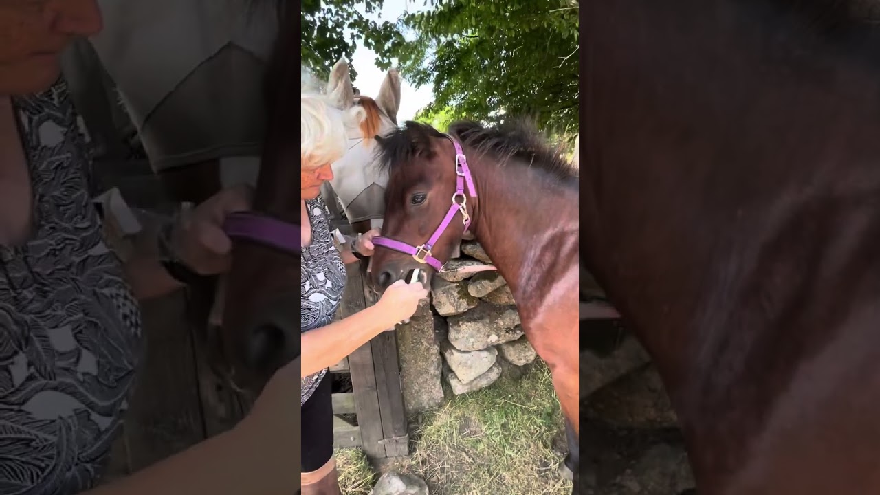 Worming week and lots more!