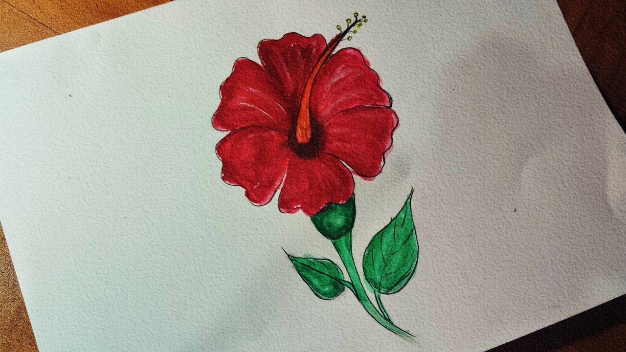 Hibiscus🌺 flower Paintng🎨  hibiscus flower art
